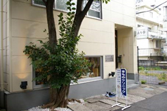 最初の移転　隣の空き地は野良猫天国でした